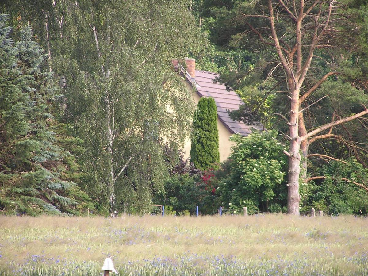Peeneurlaub Lassan Eksteriør billede
